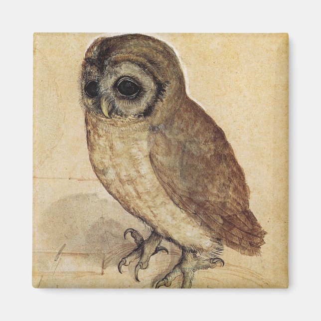 The Little Owl (von Albrecht Durer) Magnet (Vorne)
