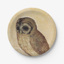 The Little Owl (von Albrecht Durer)