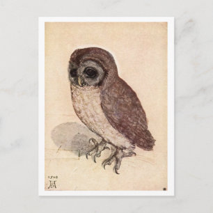 "The Little Owl" von Albrecht Dürer Postkarte
