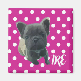 The Louis Magnet - 20 % Spende an die Rettungsakti