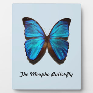 The Morpho Butterfly Fotoplatte