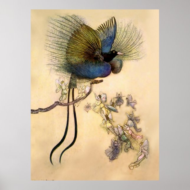 “The Most Beautiful Bird” by Warwick Goble Poster (Vorne)
