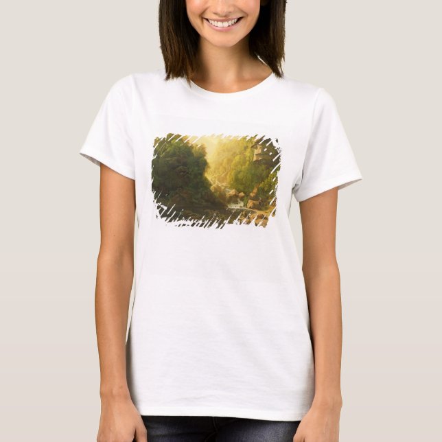 The Mountain Torrent, c.1820-30 (Öl auf Leinwand) T-Shirt (Vorderseite)