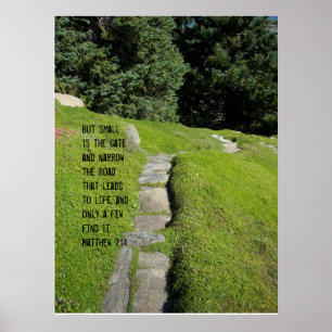 The Narrow Path Poster