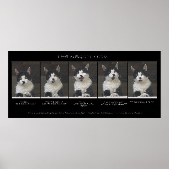 "THE NEGOTIATOR" Funny Cat Foto Sequence Poster (Vorne)