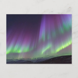 The Northern Lights   North Iceland Postkarte