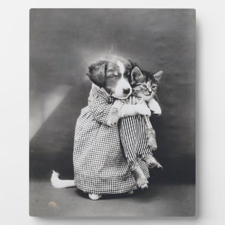 The Nurse Puppy Kitten Harry Whittier Frees 1914 Fotoplatte