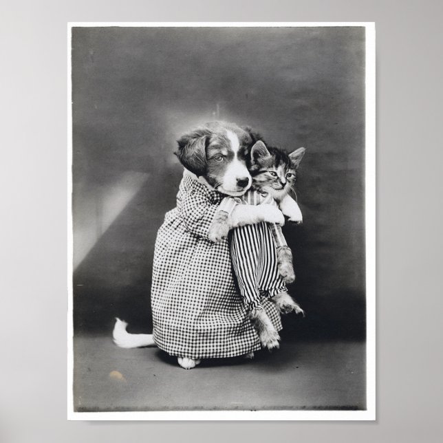 The Nurse Puppy Kitten Harry Whittier Frees 1914 Poster (Vorne)