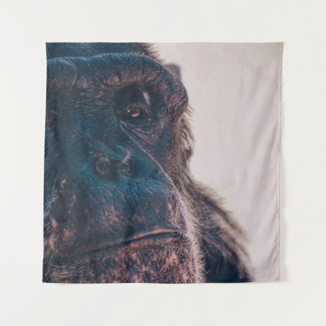 THE OLDEST CHIMPANZEE WANDTEPPICH (Vorderseite)