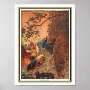 "The Peacock" Aesop Fable Print ca. 1919 Poster
