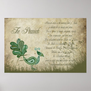 The Peacock Poster