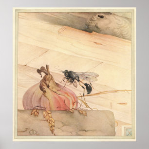 THE PELOPAEUS SPIRIFEX - Illustration des Insekten Poster