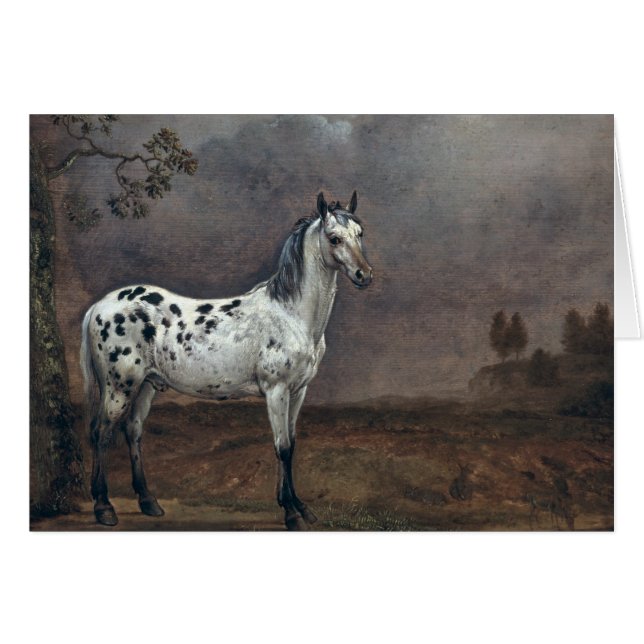 The Piebald Horse, 1653 (Vorderseite (Horizontal))