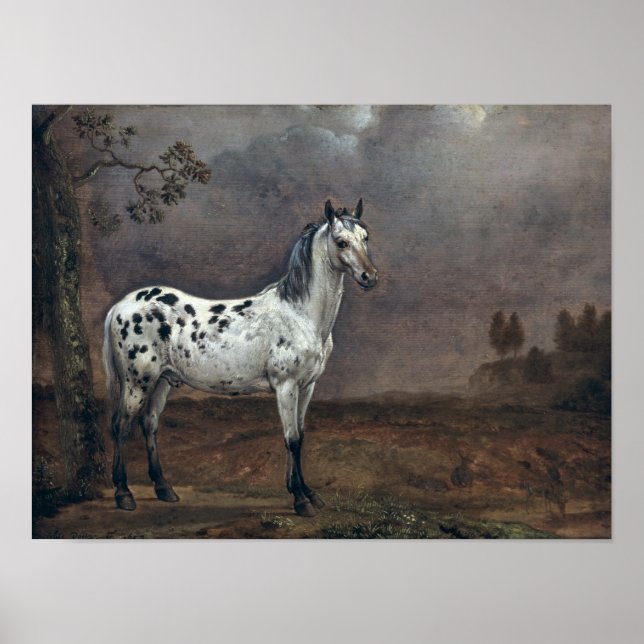 The Piebald Horse, 1653 Poster (Vorne)
