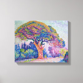The Pine Tree at St. Tropez, 1909 Leinwanddruck