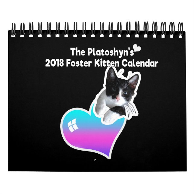 The Platoshyn's Foster Kitten Calendar 2018 Kalender (Titelbild)