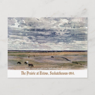 "The Prairie at Elstow, Saskatchewan-1914" Postkarte