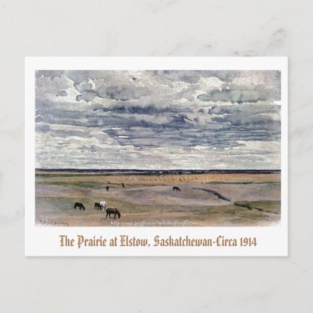 "The Prairie at Elstow, Saskatchewan-1914" Postkarte (Vorderseite)