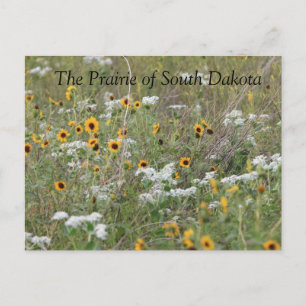 The Prairie von South Dakota Postcard Postkarte