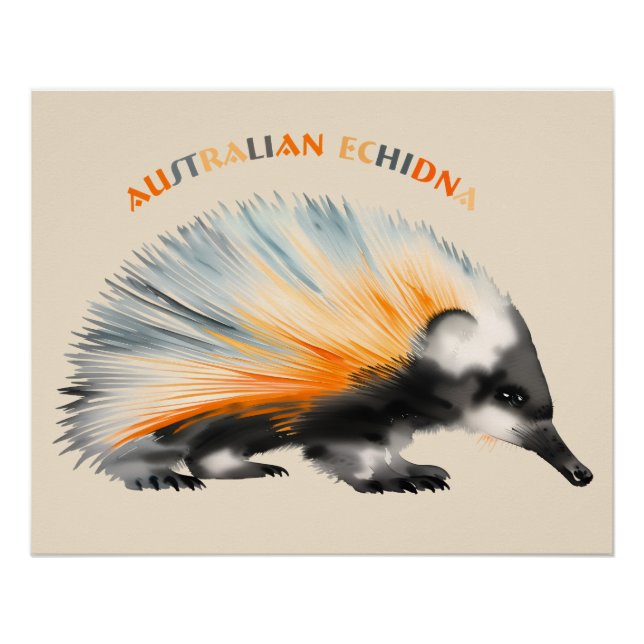 The prickly Australian Echidna Poster (Vorderseite)