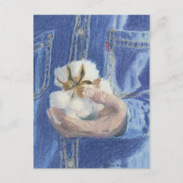 The Provider Postkarte