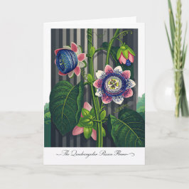 The Quadrangular Passion Flower Modern Botanical Karte