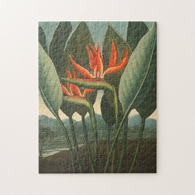 "The Queen (Bird of Paradise)" Puzzle (Vertikal)