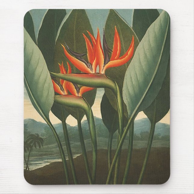 'The Queen (Bird of Paradise)' - Tempel der Flora Mousepad (Vorne)