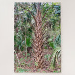 The Quiet Giant - Quiet Ember Puzzles<br><div class="desc">Stand beneath the quiet strength of a towering palm. This puzzle features a striking photo taken at Anastasia Island State Park in Florida. The massive palm tree fills the frame, creating a bold yet peaceful image that invites focus and calm. Perfect for anyone who loves nature, palm trees, or slow,...</div>