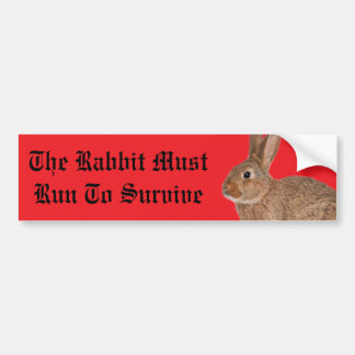 The rabbit must run to survive bumper sticker autoaufkleber