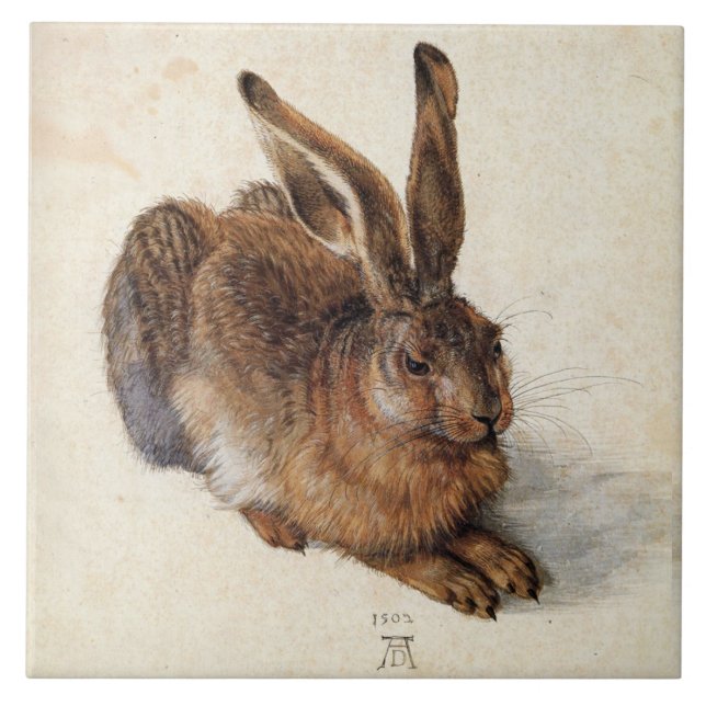 THE RABBIT ( Young Hare ) von Albrecht Durer Fliese (Vorderseite)