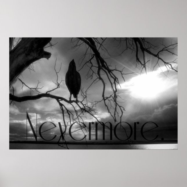 The Raven Poster - Nevermore Sunams Tree B&W (Vorne)