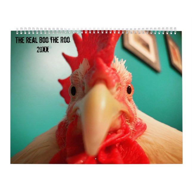 The Real Boo the Roo 2020 Calendar Kalender (Titelbild)