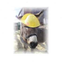 "The Real Easter Bunny" Ferienkarte Feiertagskarte