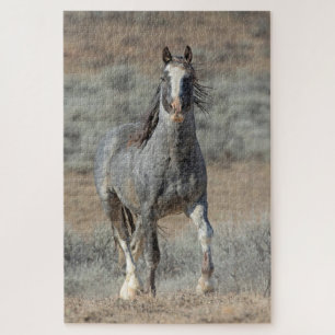 "The Real Wild One" Puzzle