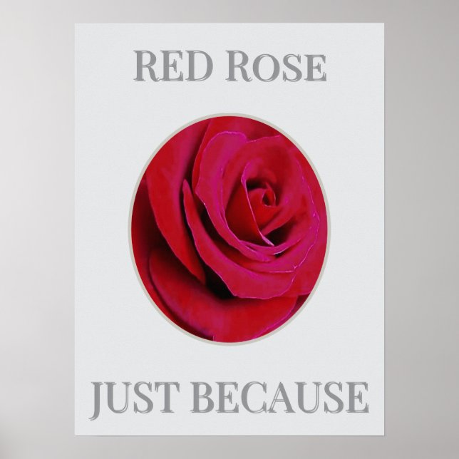 THE RED Rose Poster (Vorne)