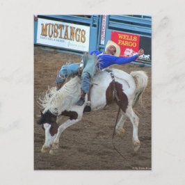 The Rodeo Collection - Wilder Rad Postkarte