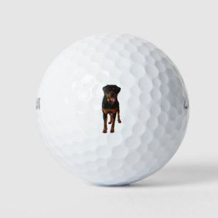 The Rottweiler Golfball