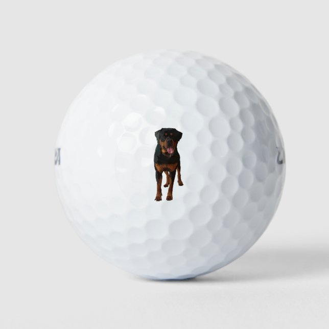 The Rottweiler Golfball (Vorderseite)