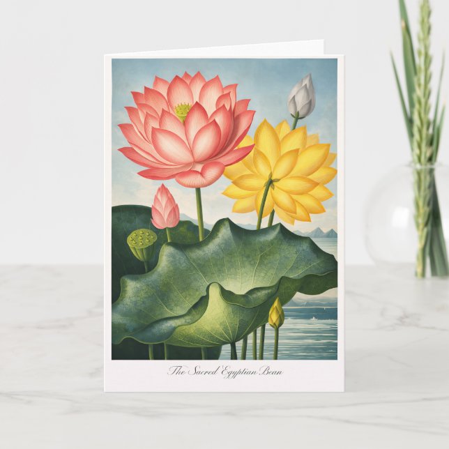The Sacred Egyptian Bean — Modern Botanical Karte (Vorderseite)