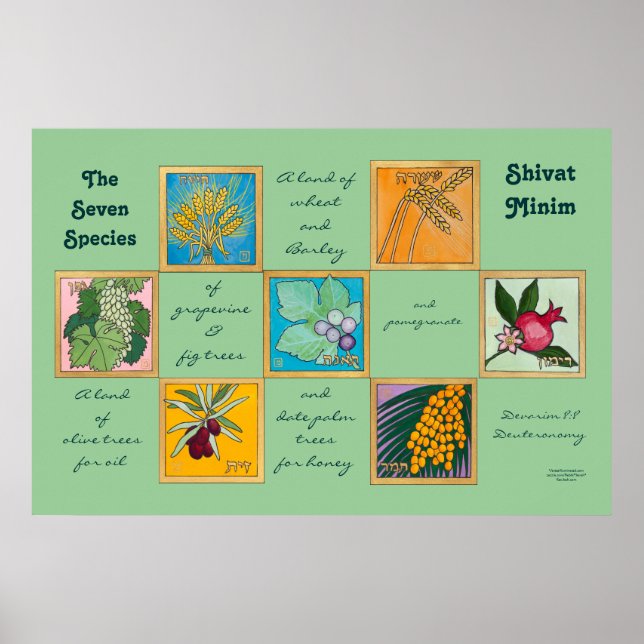 The Seven Species or Shivat Minim Poster (Vorne)
