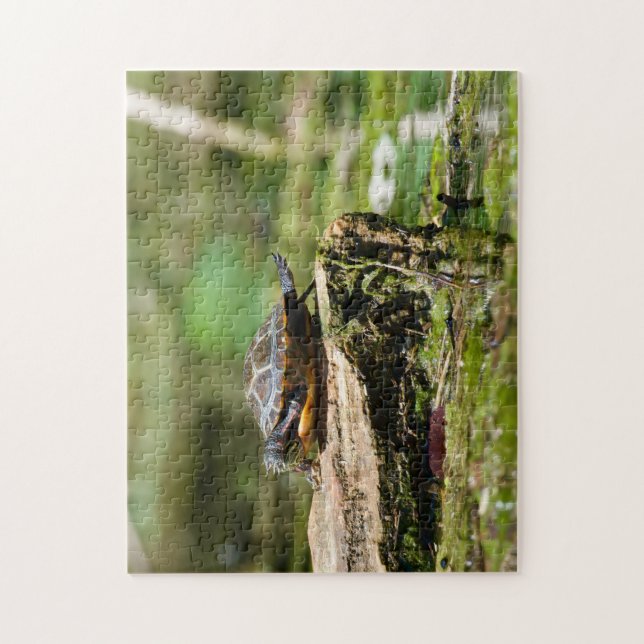 "The Shy Turtle" 252 Piece Jigsaw Puzzle (Vertikal)