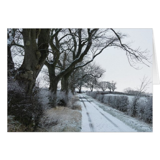 "The Snowy Lane" Northumberland England (Vorderseite (Horizontal))