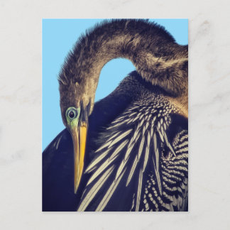 "The Spearfisher" Postcard Postkarte