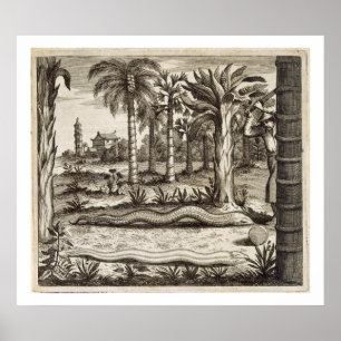 The Stone Snake, from 'China Illustrated' by Athan Poster