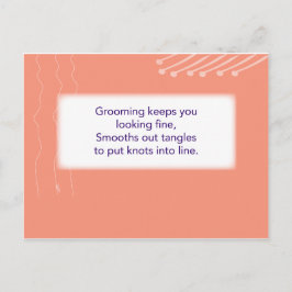 The Treasure Hunt Game - Clue #2 - Hairbrush Postkarte