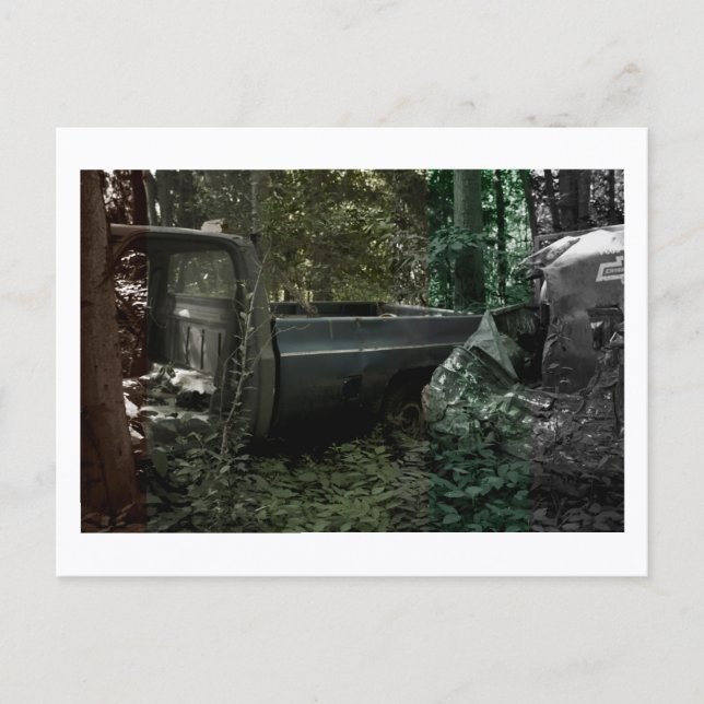 The Truck by JeffreyH.Thornton: Approachable Wolf Postkarte (Vorderseite)