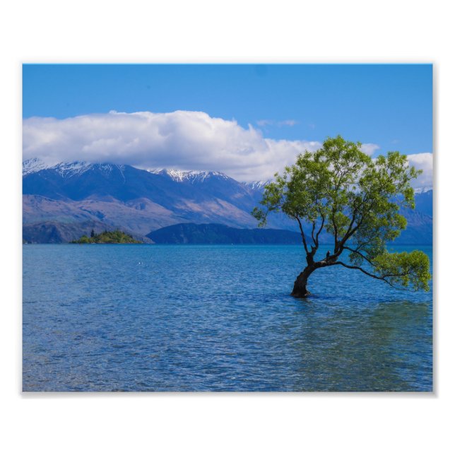 The Wanaka Tree, Lake Wanaka, NZ - Foto Print (Vorne)