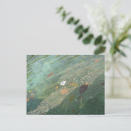 The water's surface in October Postkarte