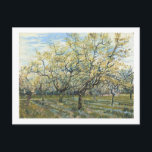 The White Orchard (F403) Van Gogh Fine Art Postkarte<br><div class="desc">Weißer Obstgarten,  Vincent van Gogh 1888. Amsterdam. F 404</div>